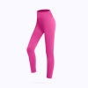 Sharkskin Track Leggings 90